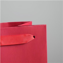 Пакет новогодний подарочный под бутылку «Не держи зла», 13×35×10 см