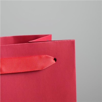 Пакет новогодний подарочный под бутылку «Не держи зла», 13×35×10 см