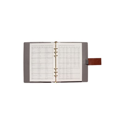 Органайзер на кольцах, А5, с хлястиком, 80 л, линия, к/зам, Коричневый