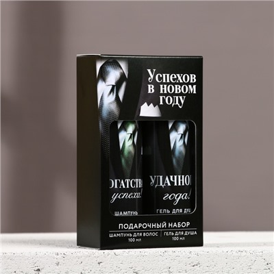 Подарочный набор «Успехов в году»: гель для душа и шампунь для волос, 2×100 мл, Чистое счастье