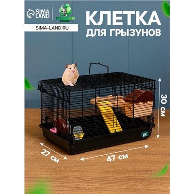 Клетка для грызунов «Пижон», с наполнением 47×30×27 см, чёрная