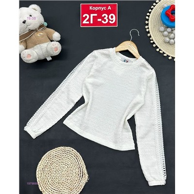 кофта 1979889-1