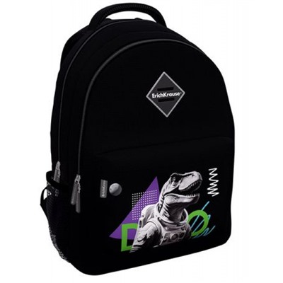 Рюкзак школьный "EasyLine. Dino Hobby" 20L 44х23х33 см 62821 ErichKrause