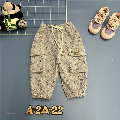 штаны 1981424-2