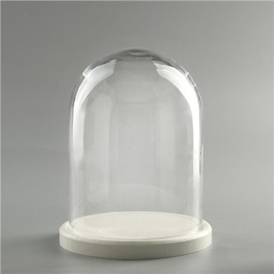 Стеклянный купол-клош на деревянной подставке «Венсан», 20×15 см, белый