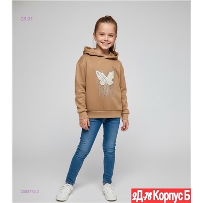 толстовка 2055710-2