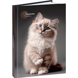 Записная книжка А5 160л "КРАСИВЫЙ КОТ - 1" глянц.лам.,лен 160-9424 Проф-Пресс