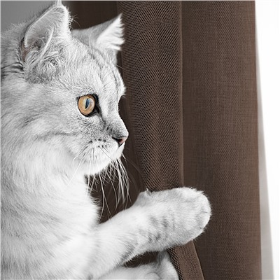 Волшебная Ночь Шторы