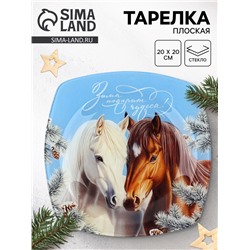 Тарелка плоская новогодняя «Зима подарит чудеса», 20×20 см