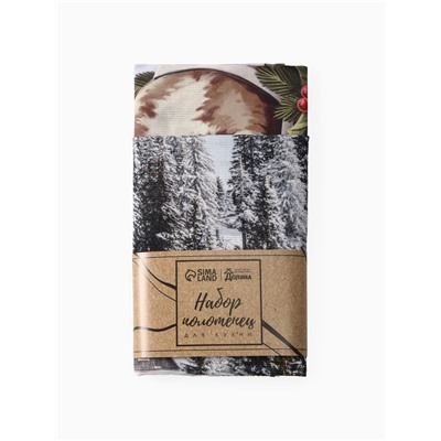 Набор кухонных полотенец «Доляна. Зимняя сказка»: 35×60 см-2 шт., 100% хлопок, рогожка, 160 г/м²