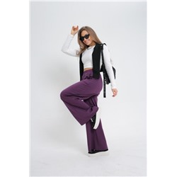 Брюки 27000 (Фиолетовый)