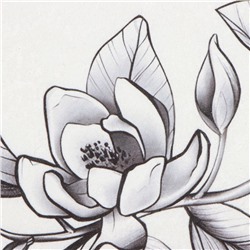 Коврик для ванной «Этель» Magnolia, 50×80 см, велюр