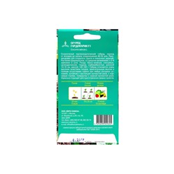 Семена Огурец Гардемарин F1 цв/п 0.25 г, скороспелый, партенокарпический, гладкий, салатный