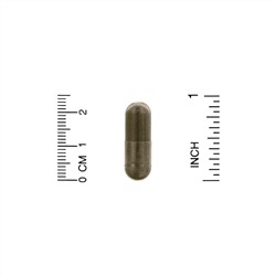 BioSchwartz, Улучшенная формула, бузина, 60 растительных капсул