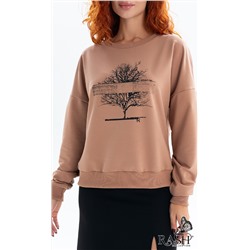 Свитшот "Дрея"