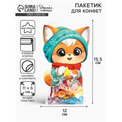 Пакетик под сладости на Новый год «Зимний котик», 6×11 см