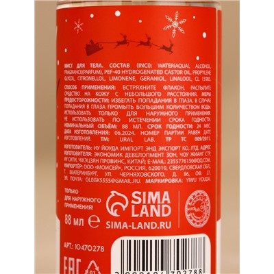 Новогодний подарочный набор косметики «Уютные мгновения»: гель для душа 300 мл и мист для тела 88 мл, URAL LAB