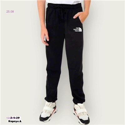 Штаны 1983931-3