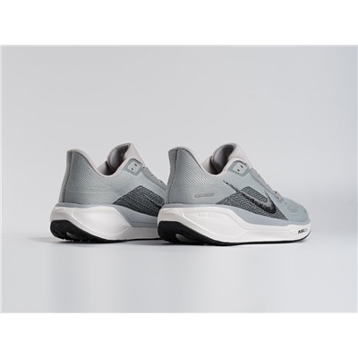 Кроссовки Nike Air Zoom Pegasus 41