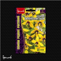 Клематис Пильчатолистный (Редкие)