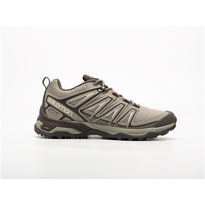 Кроссовки Salomon X Ultra Pioneer