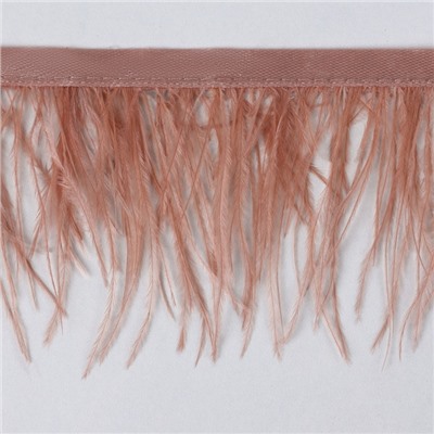 Перья страуса декоративные, на ленте, 8-10 см, 5±0.5 м, тёмно-бежевые