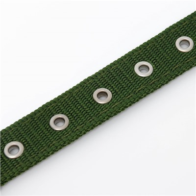 Ошейник «Комфорт» комбинированный (полиэстер, искусственная кожа), 55×2.5 см, ОШ 40-50 см, зелёный