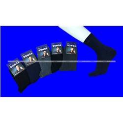 Термоноски мужские внутри махра однотонные "ECONOM" арт. М 29