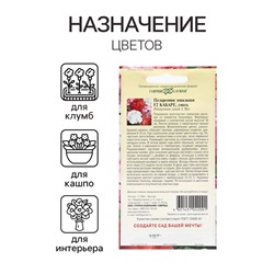 Семена цветов Пеларгония "Кабаре", ц/п, F2, 4 шт.