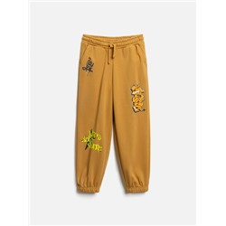 Acoola Брюки 20110460113