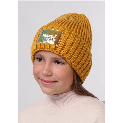 CLEVER Шапка 423444ап