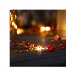 Гирлянда «Нить» 2 м роса с насадками «Гранатовый браслет», IP20, нить серебристая, 20 LED, батарейки AAx2 (не в комплекте), свечение тёплое белое