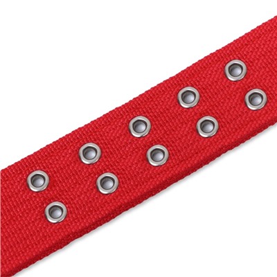 Ошейник четырехслойный, 64×4 см, ОШ 50-58 см, полиэстер, красный