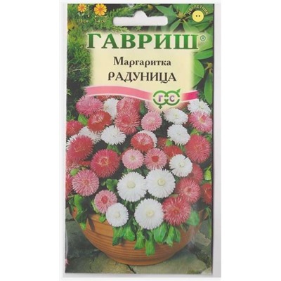 Маргаритка Радуница Смесь (Код: 12484)