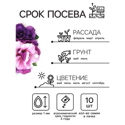 Семена цветов Петуния махровая каскадная «Блю & Орхид», F1, смесь, 5 шт., однолетник, Premium seeds