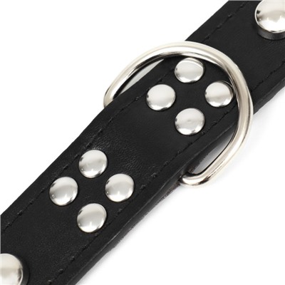 Ошейник «Сириус», 56×3 см, ОШ 42-52, с заклёпками, искусственная кожа, чёрный