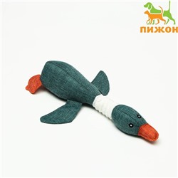 Мягкая игрушка для собак «Утка», 31 см, с пищалкой, серая