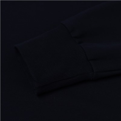 Толстовка мужская MIST Men's collection, размер 48, синяя