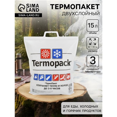 Термопакет, двухслойный, 42×45 см (внеш. ПВД/внутр. метал.), для еды, холодных и горячих продуктов