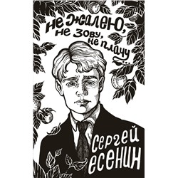 386324 АСТ Есенин С.А. "Не жалею, не зову, не плачу..."