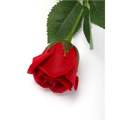 Мыльная роза бордо в коробке