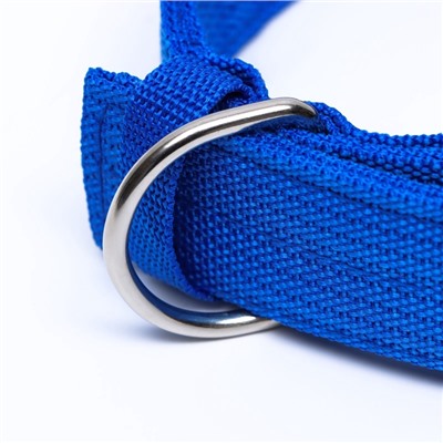Ошейник четырехслойный, 64×4 см, ОШ 50-58 см, полиэстер, синий