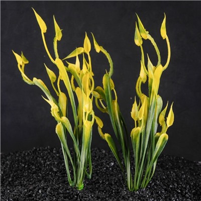 Набор растений искусственных для аквариума (2 шт.), 24 см