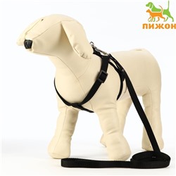 Шлейка с поводком «Базис», 32-46×1.5 с, поводок 120×1.5 см, чёрная