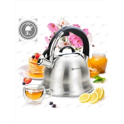 ZEIDAN Чайник Z-4453