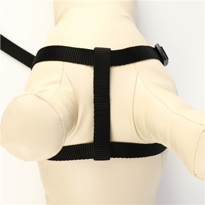 Шлейка с поводком «Базис», 32-46×1.5 с, поводок 120×1.5 см, чёрная