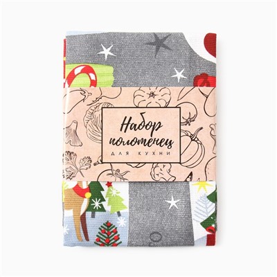 Набор новогодних кухонных полотенец Доляна «Волшебного года» 35×60 см-2 штуки, 100% хлопок