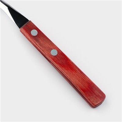 Ложка столовая Tramontina Polywood, нержавеющая сталь, деревянная ручка, цвет каштановый