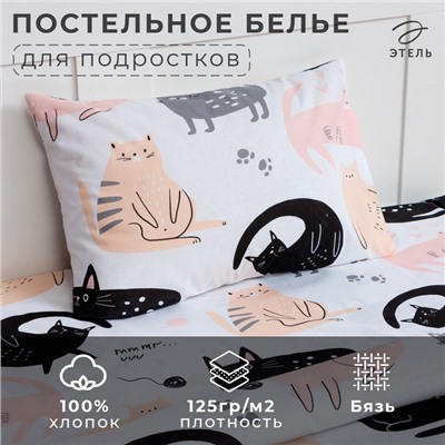 Постельное бельё 1.5-спальное «Этель» Cat party, бязь