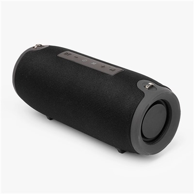 Портативная акустика ORG TG118 (повр. уп.) (black)